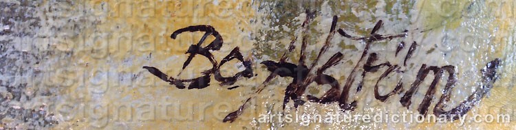 Authentic signature by Bo AHLSTRÖM on  artwork