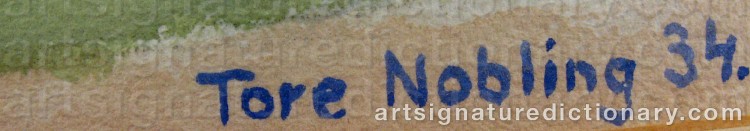 Authentic signature by Tore NOBLING on  artwork