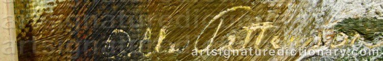 Authentic signature by Olle PETTERSON on artwork