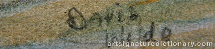 Authentic signature by David WILDE on  artwork