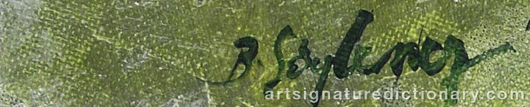 Authentic signature by Buket SÖYLEMEZ on artwork