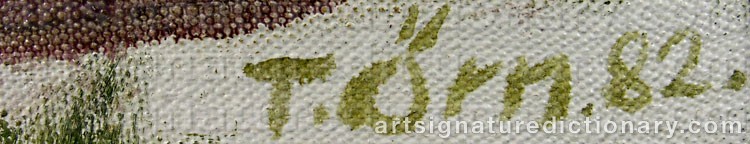 Authentic signature by Tryggve ÖRN on artwork