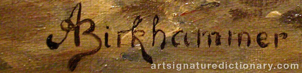Authentic signature by Axel BIRKHAMMER on  artwork