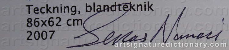 Signature by Sirous NAMAZI
