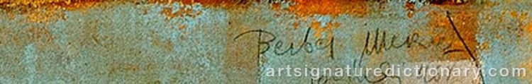 Authentic signature by Mersad BERBER on  artwork