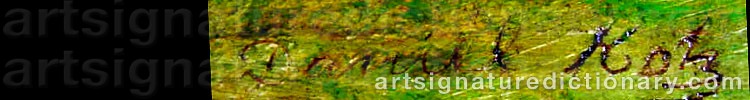 Authentic signature by Daniel KOTZ on artwork