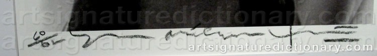 Signature by Bert STERN