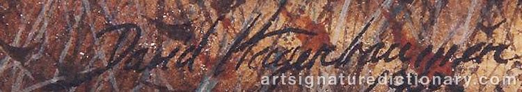 Authentic signature by David HAGERBAUMER on  artwork