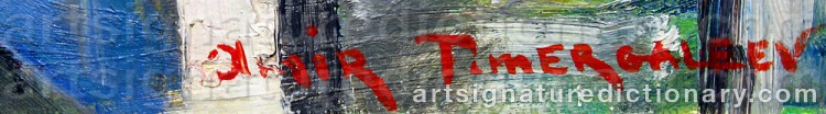 Authentic signature by Amir TIMERGALEEV on  artwork