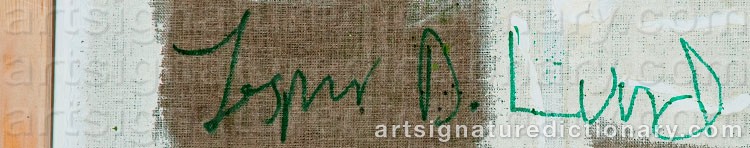 Authentic signature by Jesper D. LUND on  artwork