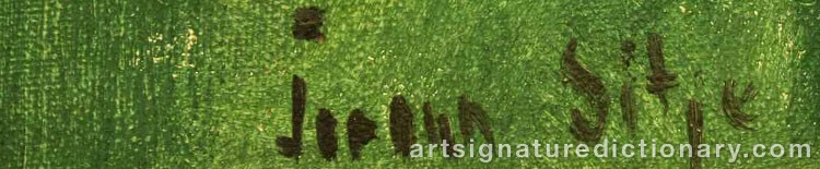 Authentic signature by Joronn SITJE on  artwork