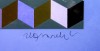 Close-up details showing Victor VASARELY signature forgery characteristics