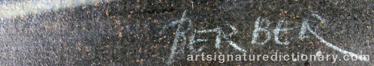 Authentic signature by Mersad BERBER on  artwork