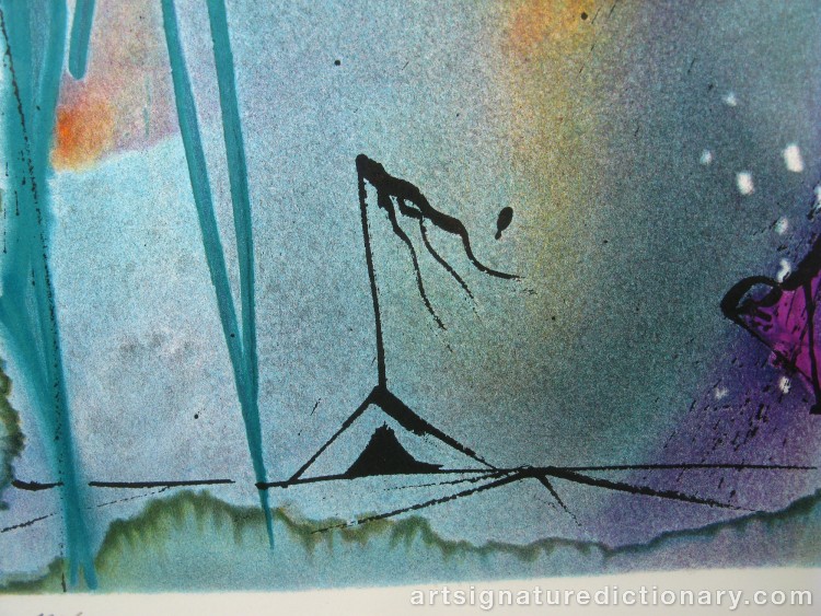 Close-up details showing Salvador DALI signature forgery characteristics