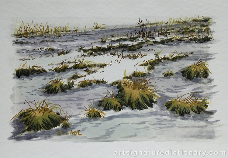 Close-up details showing Stanislaw ZOLADZ signature forgery characteristics