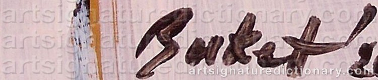 Authentic signature by Buket SÖYLEMEZ on artwork