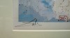 Close-up details showing Salvador DALI signature forgery characteristics