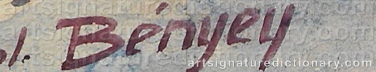 Authentic signature by Zoltan BENYEY on  artwork