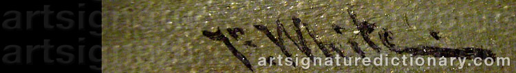 Authentic signature by Thomas Gilbert WHITE on  artwork