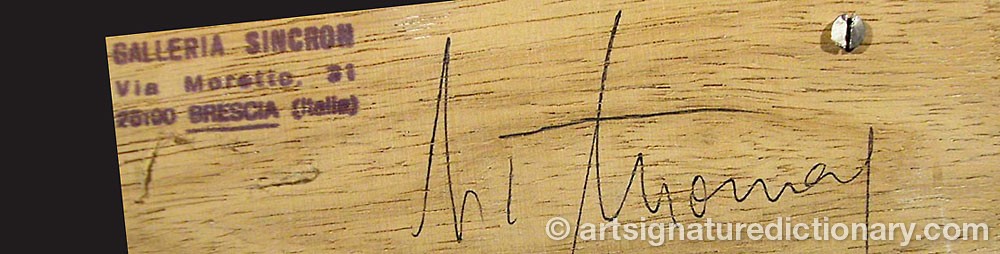 Authentic signature by Norbert THOMAS on artwork