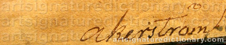 Authentic signature by Jonas ÅKERSTRÖM on  artwork