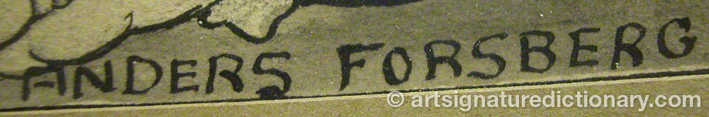 Authentic signature by Anders FORSBERG on  artwork