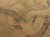 Close-up details showing Anders ZORN signature forgery characteristics