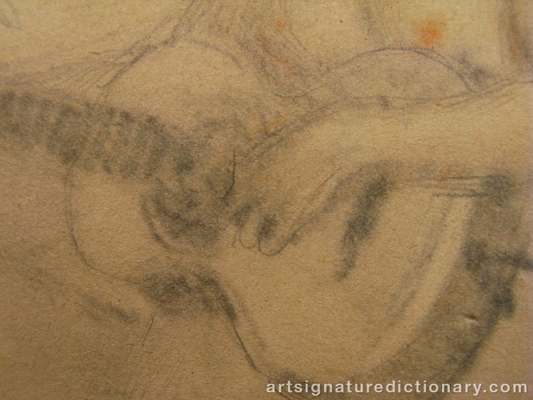 Close-up details showing Anders ZORN signature forgery characteristics