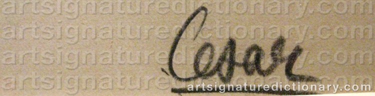 Signature by César ‘César’ BALDACCINI