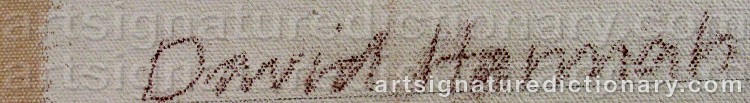 Authentic signature by David HANNAH on  artwork