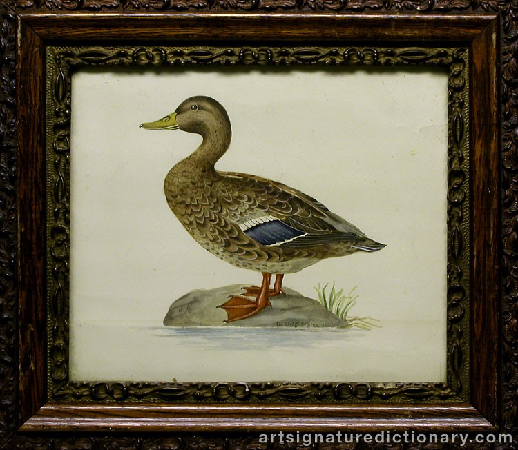 Close-up details showing Magnus Von WRIGHT signature forgery characteristics