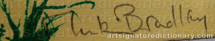 Authentic signature by Martin BRADLEY on artwork