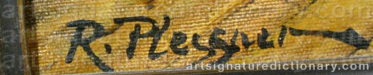 Signature by Rudolf PLESSNER