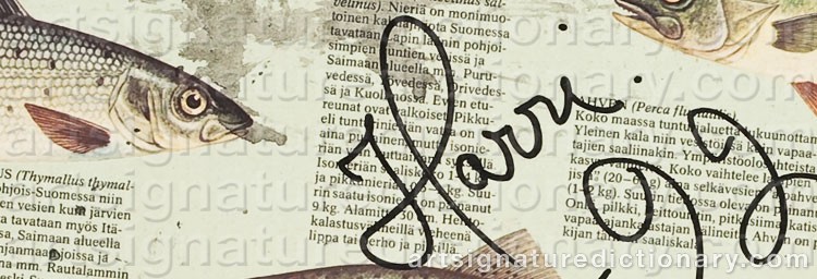 Authentic signature by Juhani HARRI on artwork