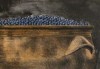 Close-up details showing Philip Von SCHANTZ signature forgery characteristics