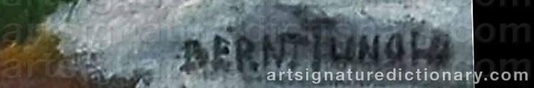 Authentic signature by Bernt TUNOLD on  artwork