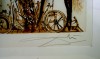 Close-up details showing Salvador DALI signature forgery characteristics