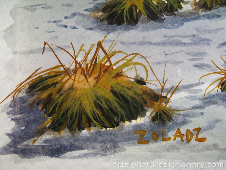 Close-up details showing Stanislaw ZOLADZ signature forgery characteristics