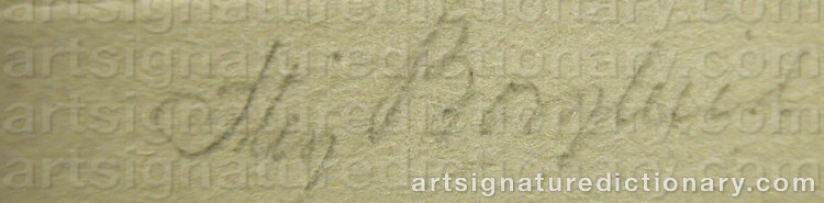 Signature by Stig BORGLIND