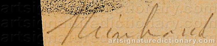 Authentic signature by Reinhoud D'HAESE on  artwork