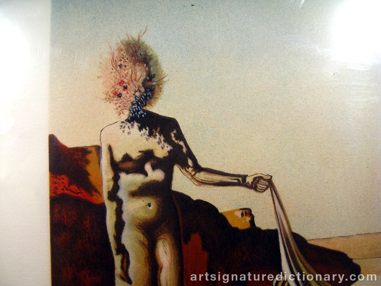 Close-up details showing Salvador DALI signature forgery characteristics