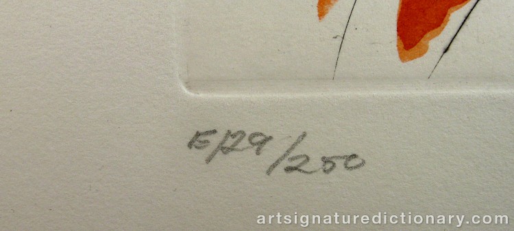 Close-up details showing Salvador DALI signature forgery characteristics