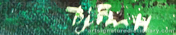 Authentic signature by Björn HAMMARSTRÖM on artwork