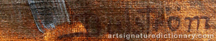 Authentic signature by Erik DUFSTRÖM on  artwork