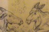 Close-up details showing Bruno LILJEFORS signature forgery characteristics